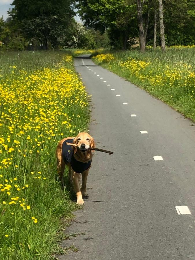 B&B Bloom Amsterdam Zewnętrze zdjęcie