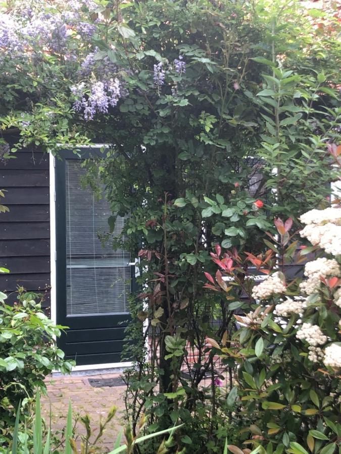 B&B Bloom Amsterdam Zewnętrze zdjęcie
